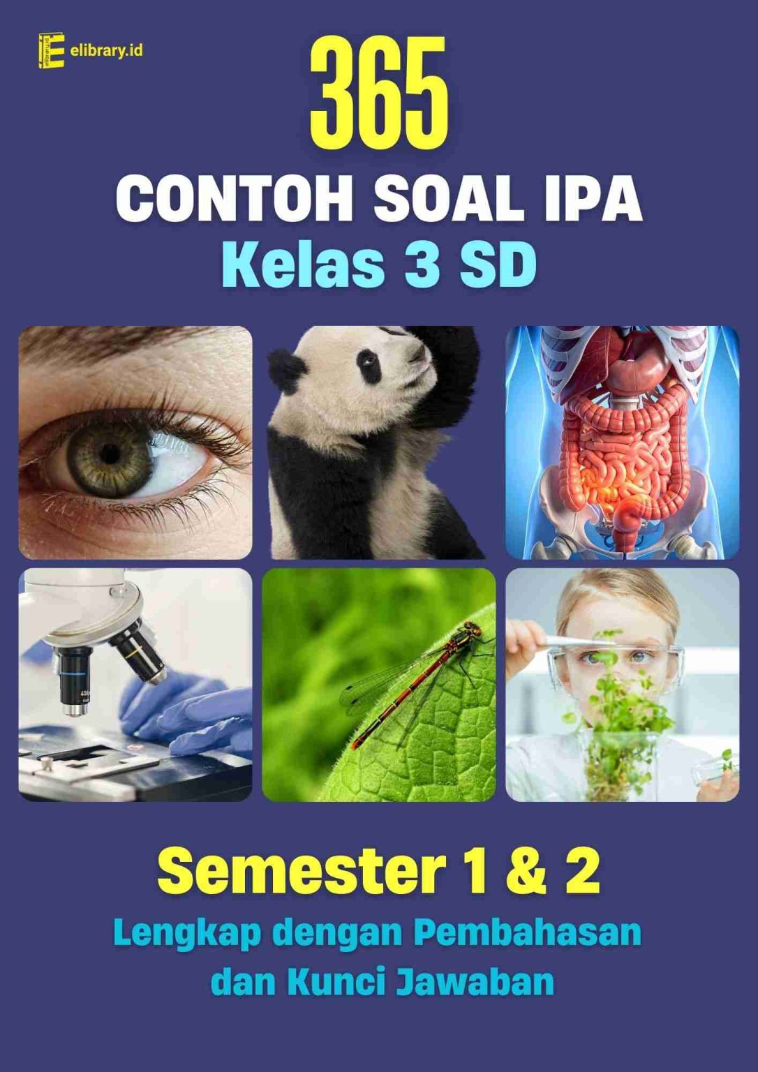 Rahasia 5 Soal IPA Kelas 3 SD dan Jawabannya di 2026 yang Jarang Diketahui
