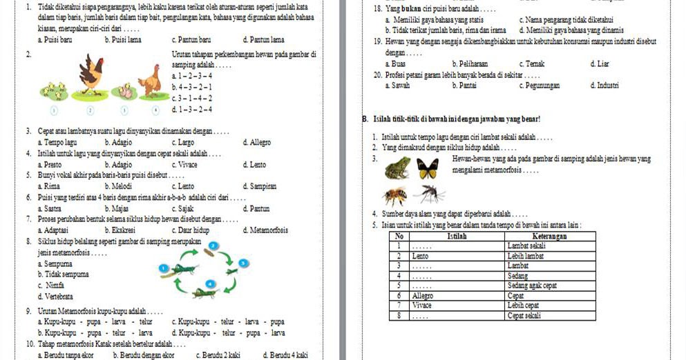 Wajib Tahu Bocoran Contoh Soal UTS Tematik Kelas 4 Tema 6 Subtema 1 Agar Nilai Sempurna